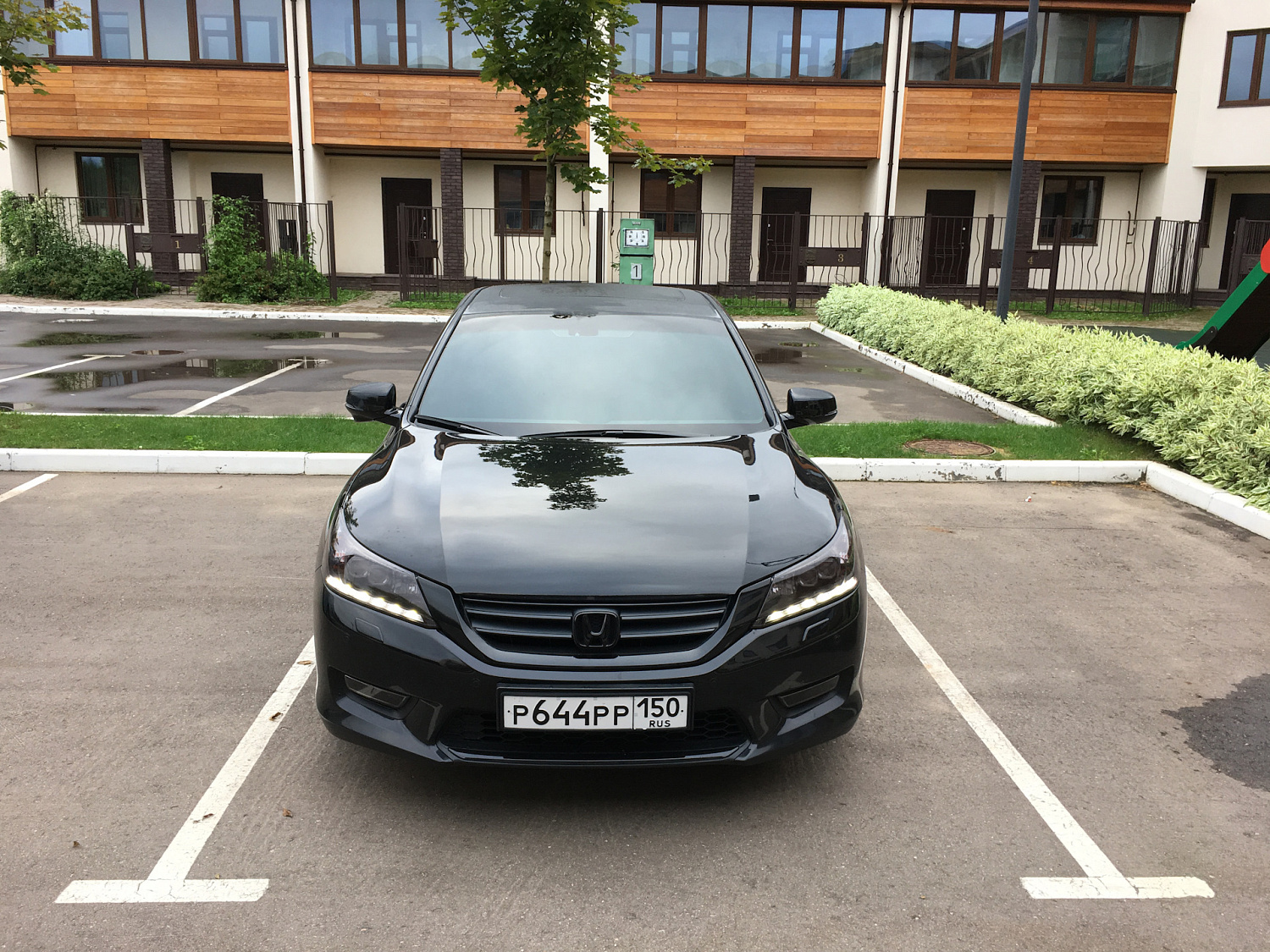 Антихром Honda