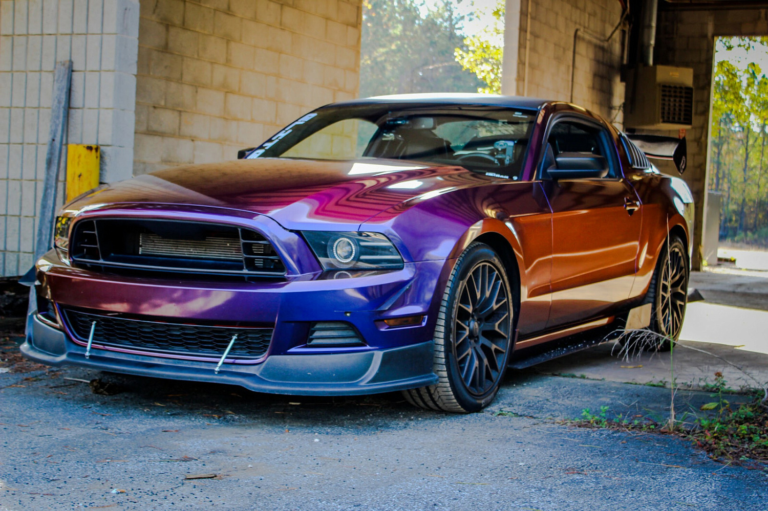 Оклейка Ford Mustang