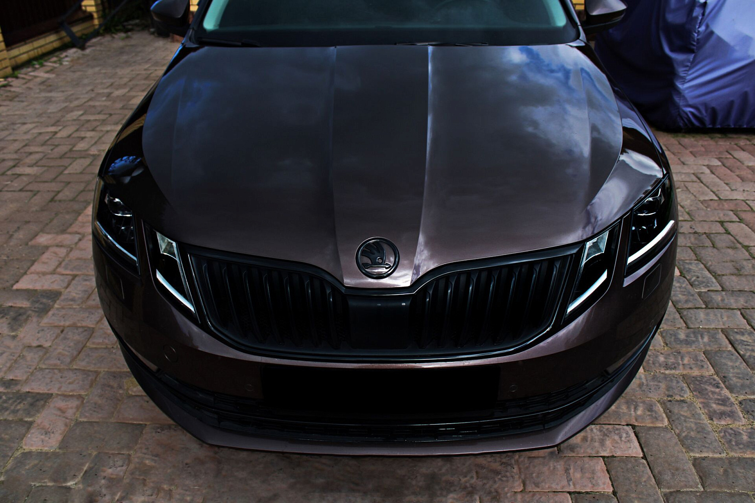 Оклейка Skoda Octavia